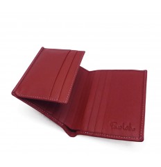 Wallet/cardholder plane - RED